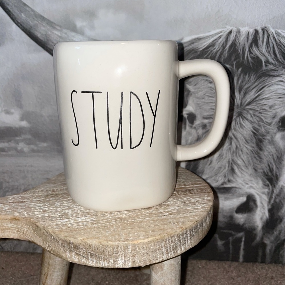 Rae Dunn Study Mug